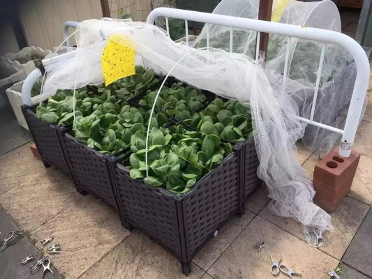 庭のベッドの庭のプラスチックによって上げられるプランター箱のレトロな長方形