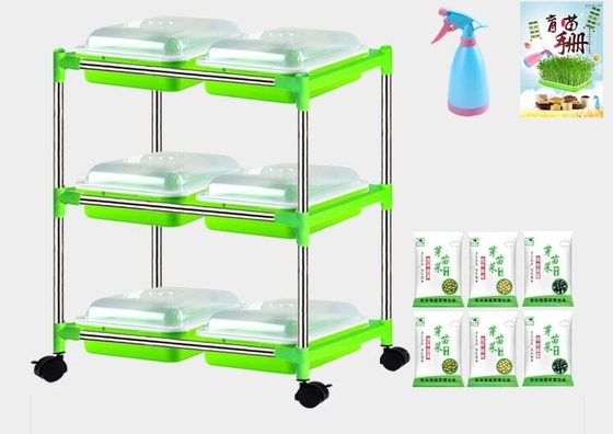 生物分解性多層実生植物の皿の立場のMicrogreenの水耕栽培皿