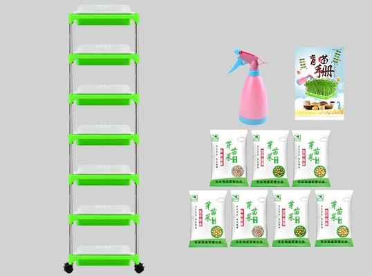 生物分解性多層実生植物の皿の立場のMicrogreenの水耕栽培皿