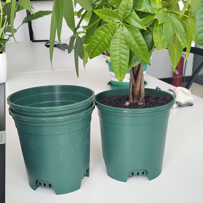 家族の日曜日の抵抗力がある6インチのプラスチック養樹園の鍋9cmの円形の植物の鍋
