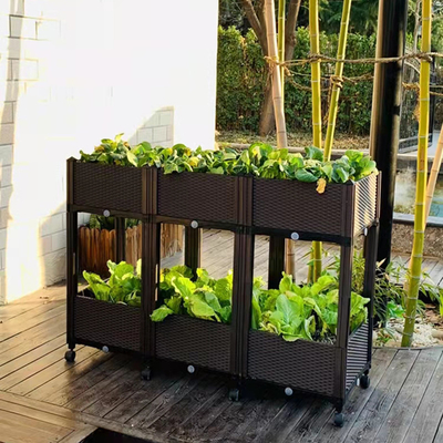 昆虫の証拠の車輪のStorableプラスチック上げられた植わるベッドのハーブ プランター箱
