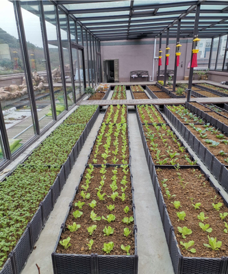 野菜栽培の天候の抵抗のための多機能の高いプラスチック プランター箱