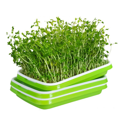 カバーふたの台所使用を用いる再生利用できるPP Microgreenの発生の皿