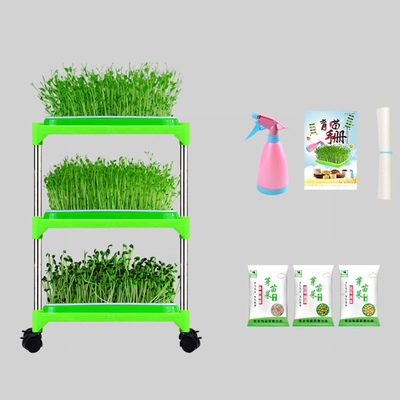 防蝕家族のための屋内PPの水耕栽培実生植物の皿の立場